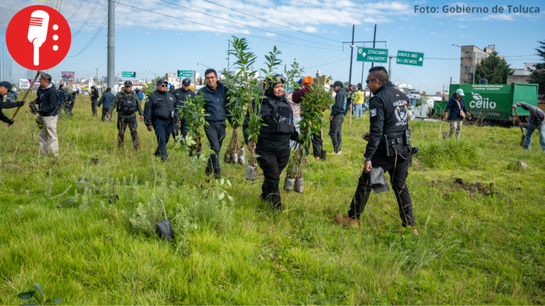 Toluca se reforesta con plantación de 12 mil árboles en un fin de semana