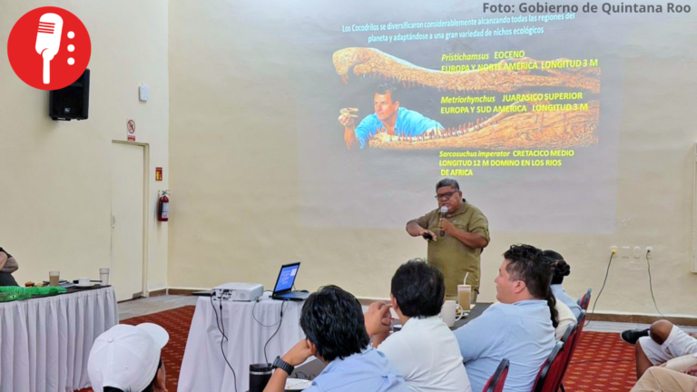Educación ambiental fortalece conservación de cocodrilos en Cozumel