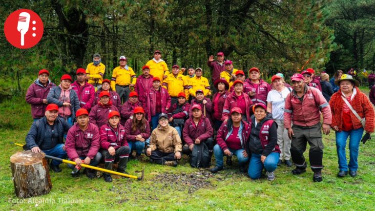 Gaby Osorio pinta de verde Tlalpan con más de 20 mil plantas en programa de reforestación