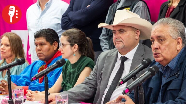 Somos México tendrá que cambiar de nombre, logo y color por orden del INE