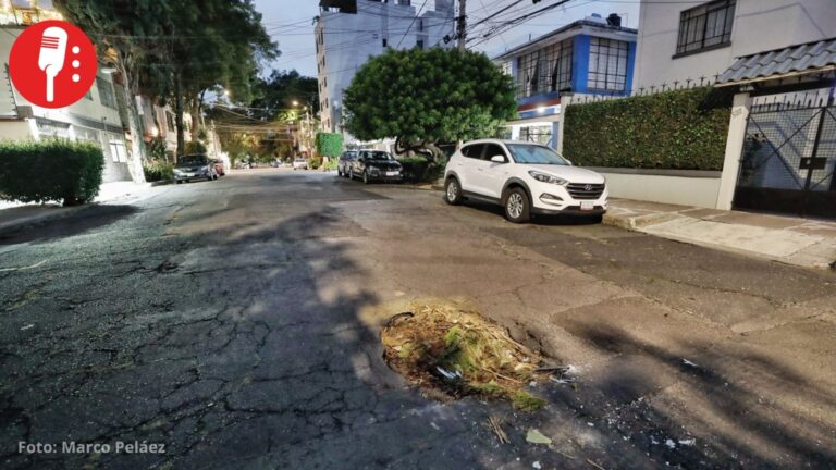Vecinos de la Benito Juárez alertan por socavones y baches sin atender