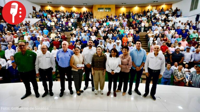 Sinaloa inicia entrega de apoyos a 26 mil 800 productores de maíz