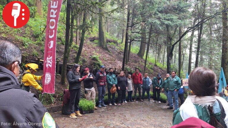 San Bartolo Ameyalco planta 2 mil árboles durante jornada de reforestación