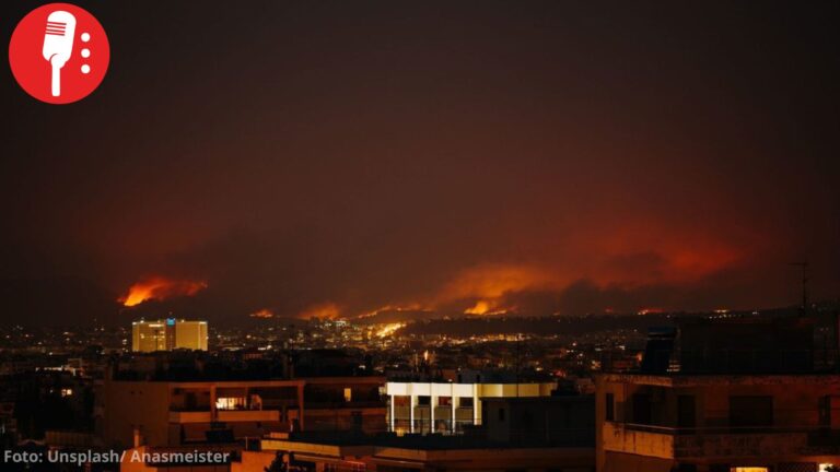 ONU: Incendios forestales consumen casi 6 millones de hectáreas en 2026