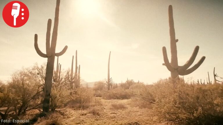 Mueren 73 migrantes en el desierto de Arizona en lo que va de 2026