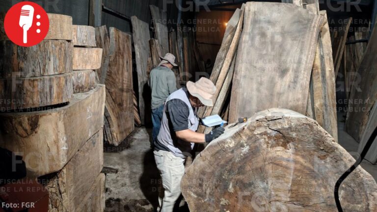 Aseguran más de 2 mil metros cúbicos de madera ilegal en Tlalpan