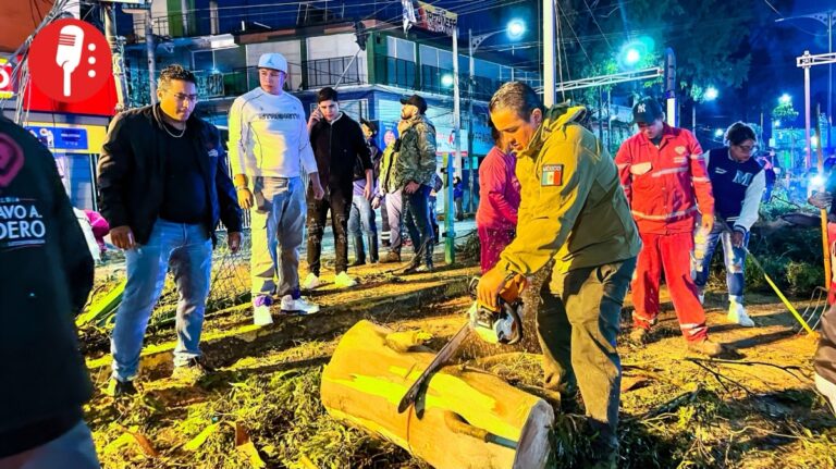 Lozano moviliza equipos para retirar 80 árboles caídos tras granizada en GAM