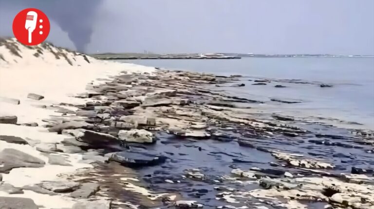 Irán reclama justicia ambiental en el golfo Pérsico