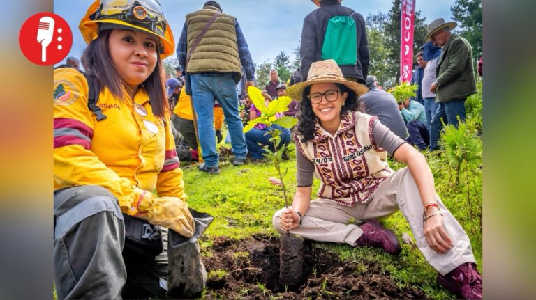 Tlalpan convertirá basura orgánica en abono para el campo