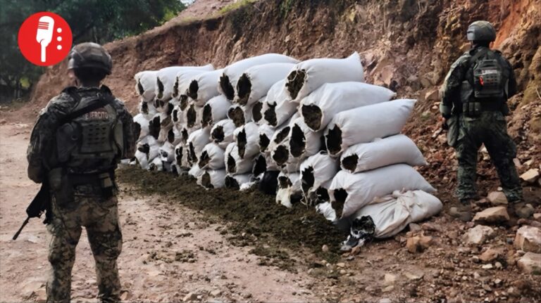 Detienen a 12 en Sinaloa y decomisan más de 1.3 toneladas de marihuana