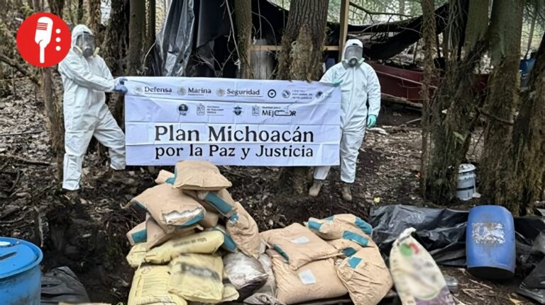 Golpe al narco: caen casi dos toneladas de metanfetamina en Michoacán