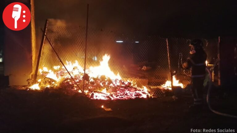 Trece lomitos fallecen en incendio en la Gustavo A. Madero