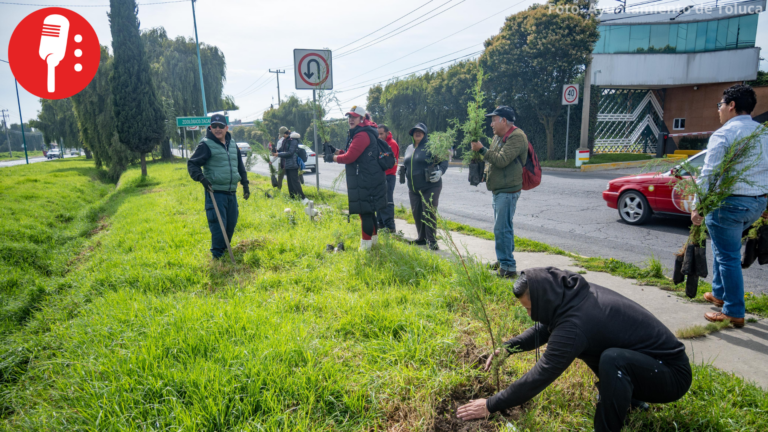 Toluca reforesta Calzada del Pacífico con mil 100 árboles