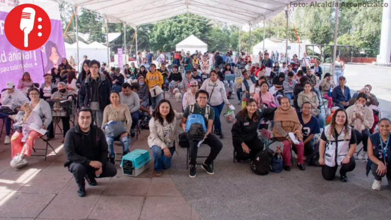 Mega Jornada de Esterilización para perros y gatos en Azcapotzalco