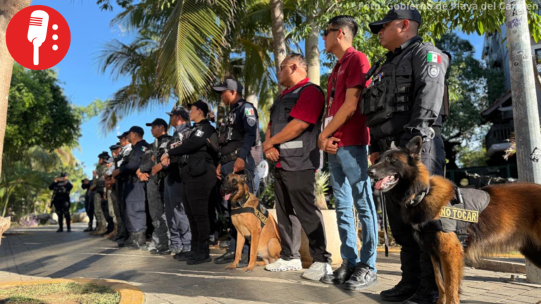 Playa del Carmen reduce en 51.6% el homicidio doloso