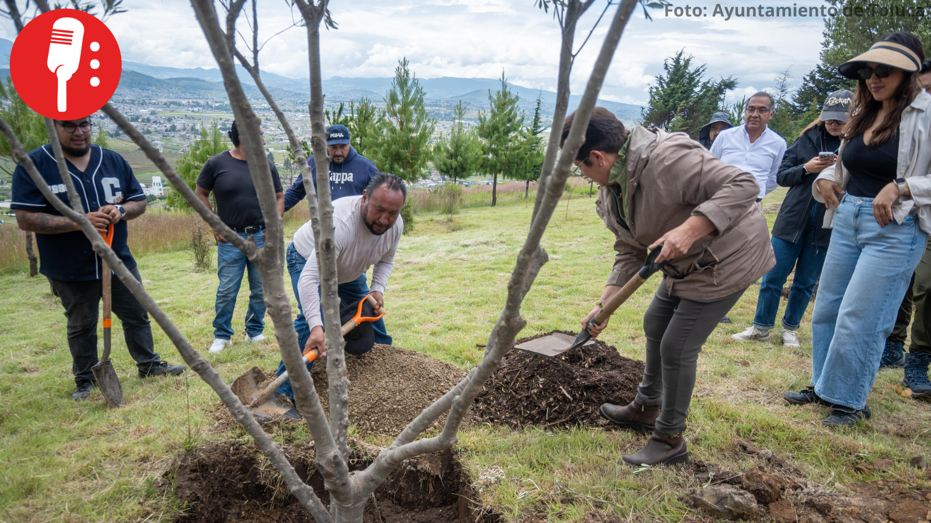 Toluca planta árboles de olivo para fortalecer la recuperación ambiental del Cerro del Perico
