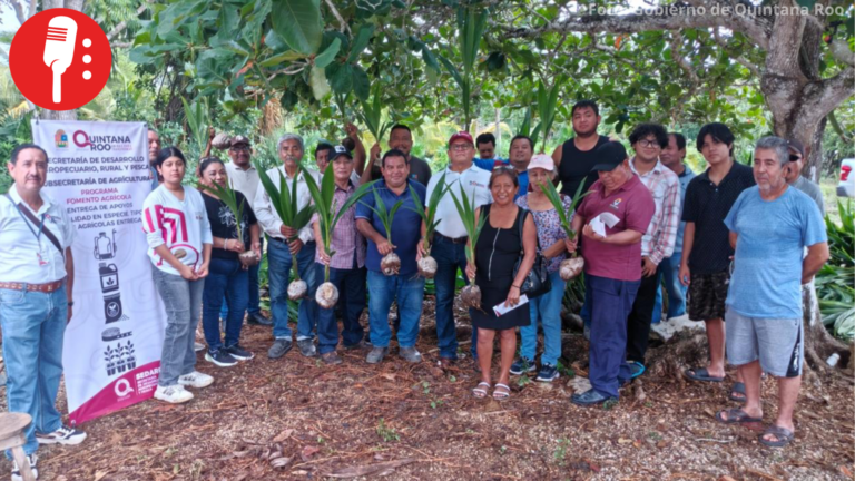 Quintana Roo fortalece el campo con entrega de insumos agrícolas a 341 productores