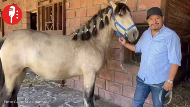Alcalde del PT en Comitán presume caballos de hasta un millón de pesos