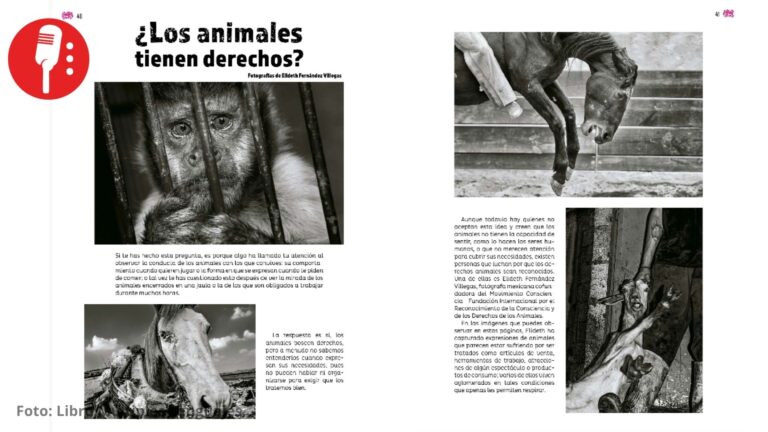 12 fotografías de Elideth Fernández buscan generar conciencia sobre los animales en libros de la SEP
