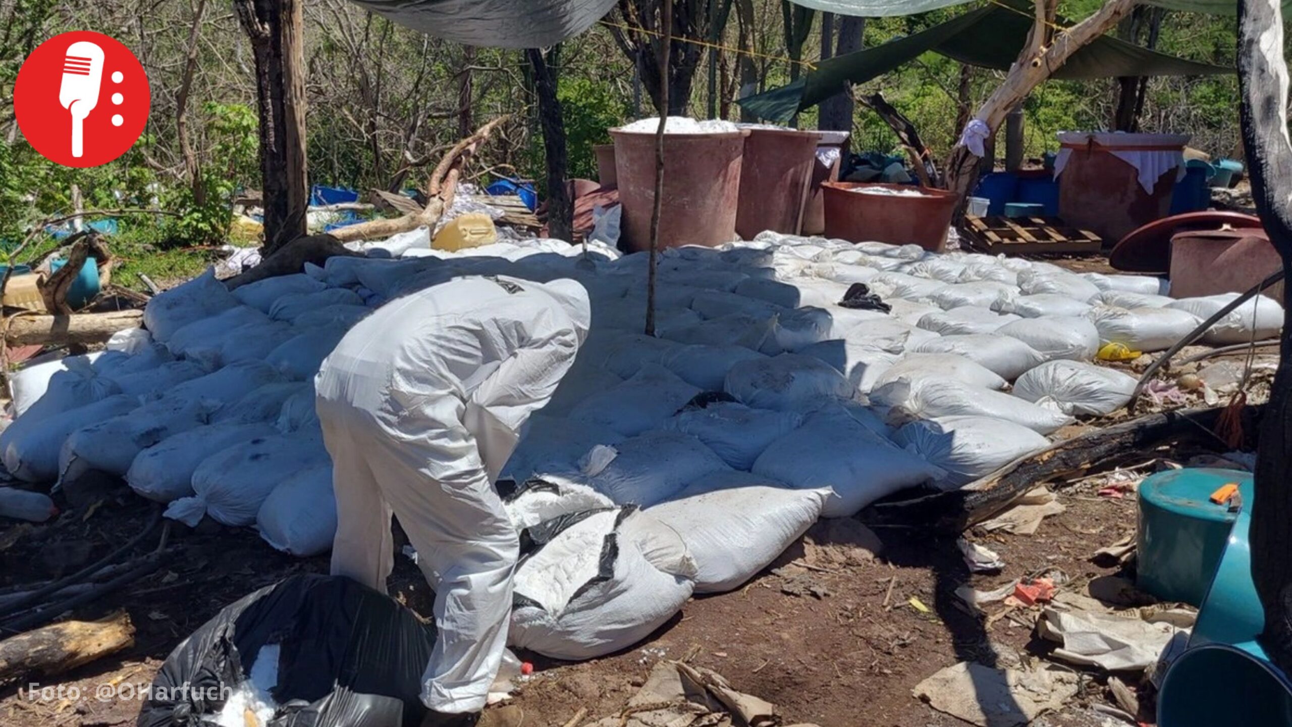 DEA se atribuye golpe de 16 toneladas de metanfetamina en Sinaloa; Harfuch marca diferencia