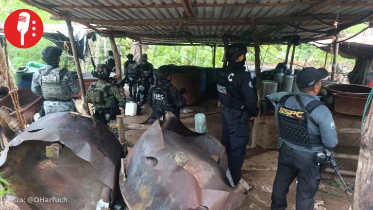 Desmantelan tres laboratorios clandestinos de drogas en Guerrero, informa Harfuch