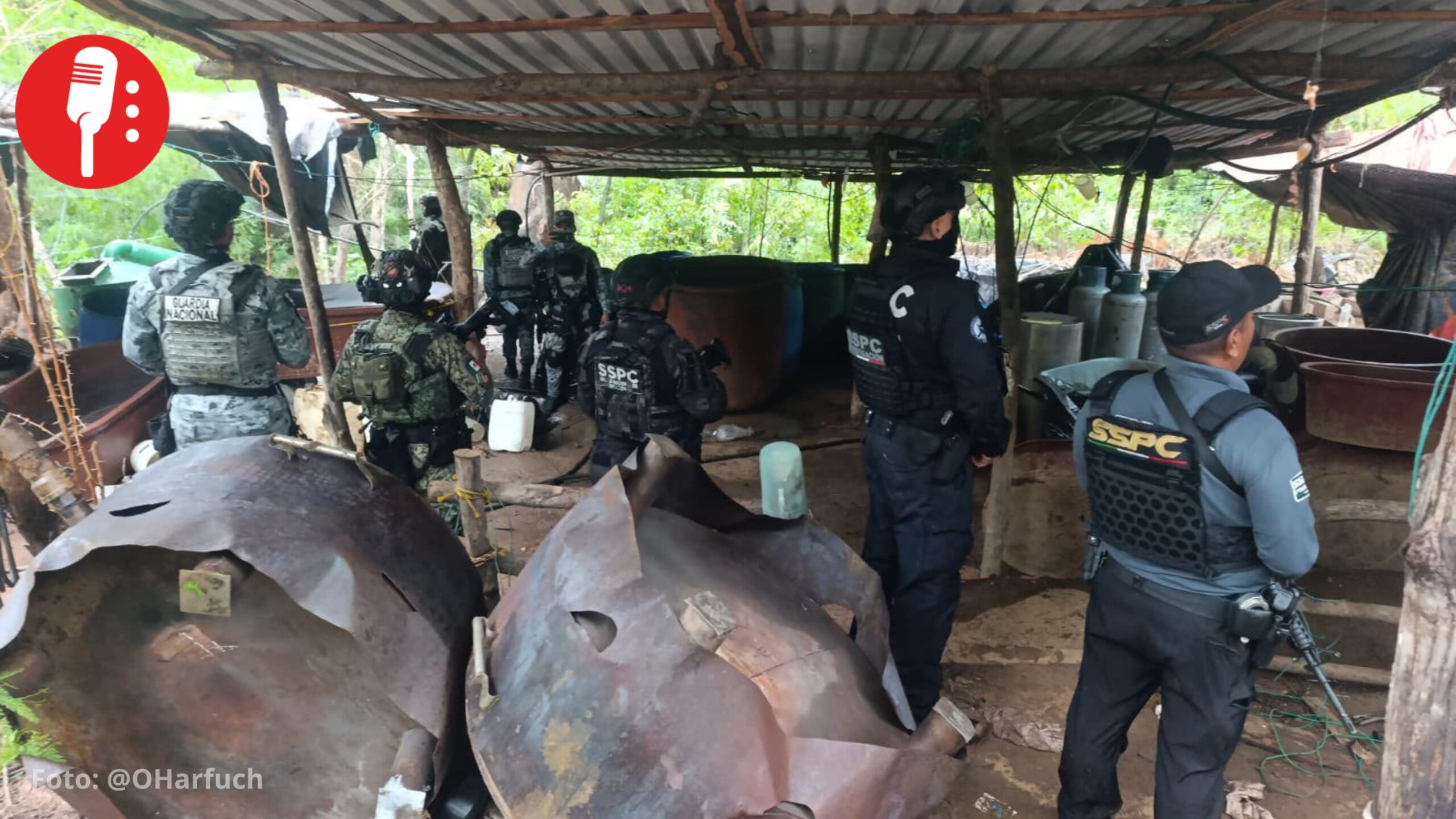 Desmantelan tres laboratorios clandestinos de drogas en Guerrero, informa Harfuch