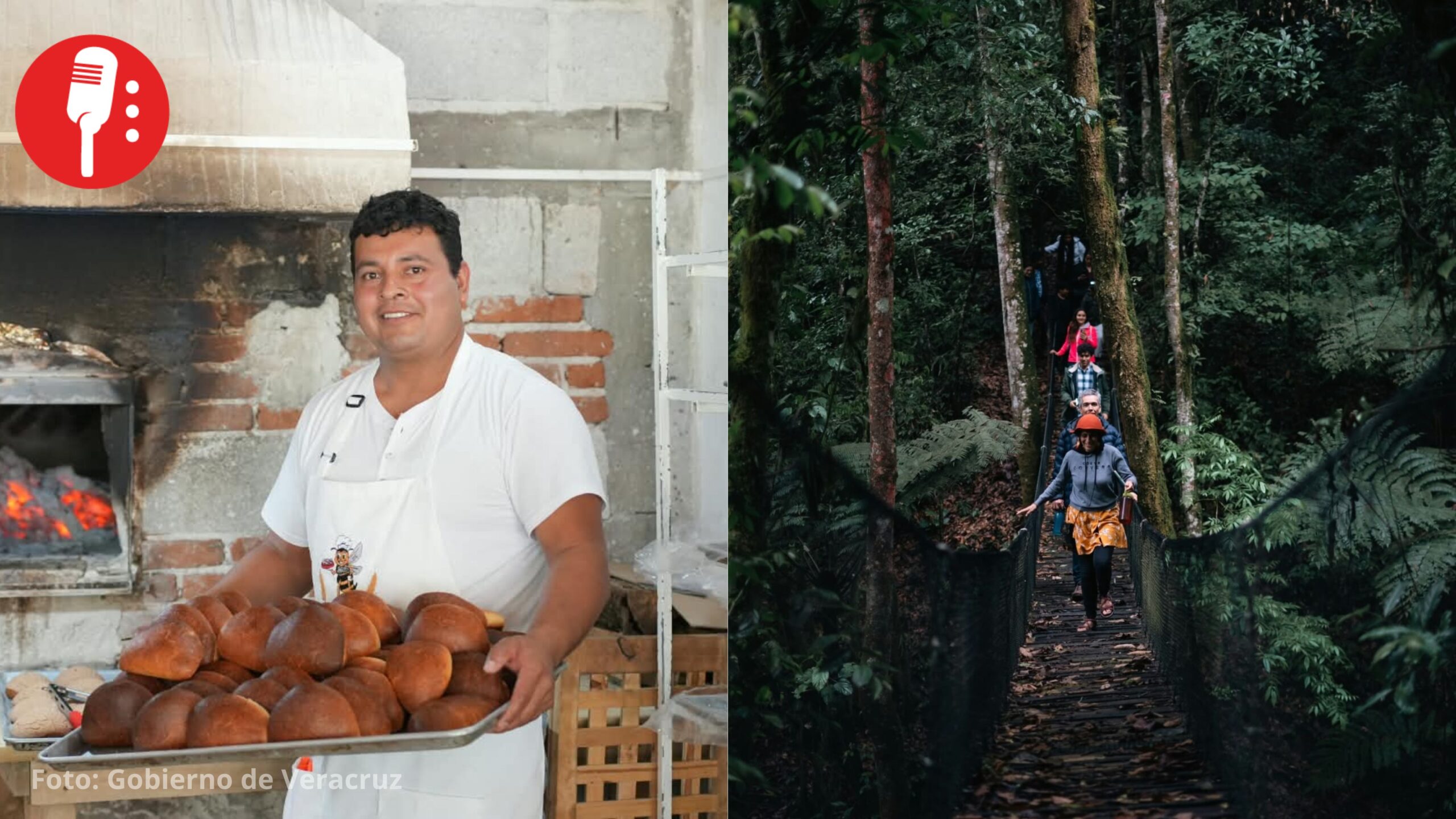 Turismo comunitario en Veracruz: estas son las 4 experiencias imperdibles que debes conocer