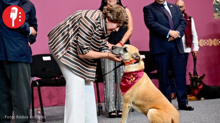 Con Delfina Gómez, Edomex se declara Capital Mundial del Bienestar Animal