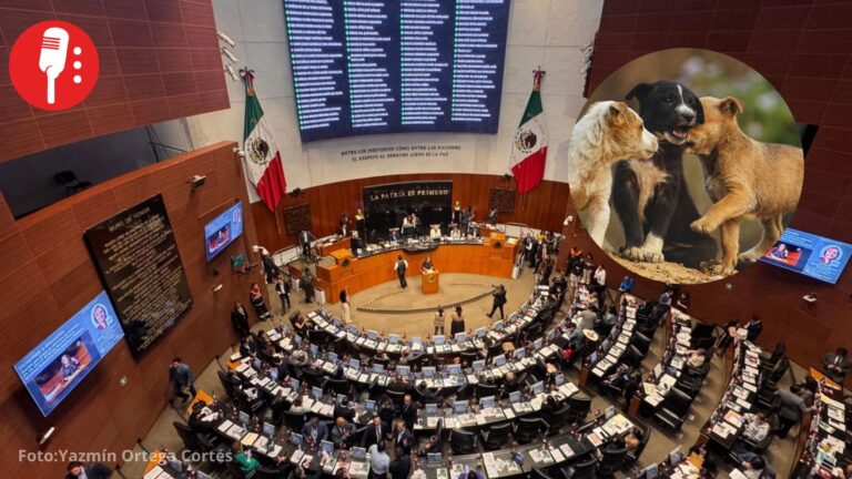 Senado aprueba nueva ley contra el maltrato animal y crea registros nacionales