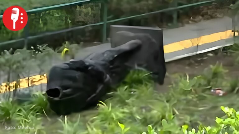 Decapitan estatua de Felipe Calderón en Los Pinos; Ciro está destrozado