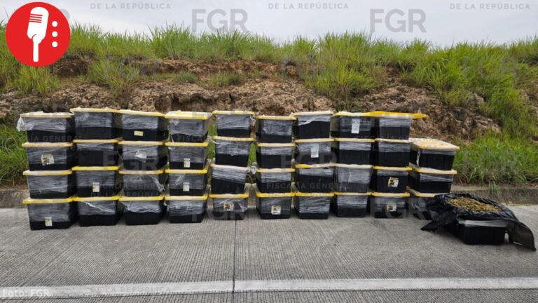 Aseguran cerca de 400 kilos de marihuana en Jalisco