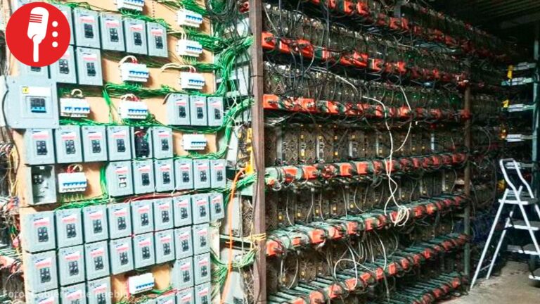 Desmantelan en Puebla granja clandestina de criptomonedas