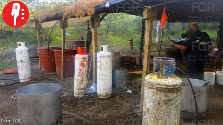 Aseguran más de nueve toneladas de sustancias químicas en Chihuahua