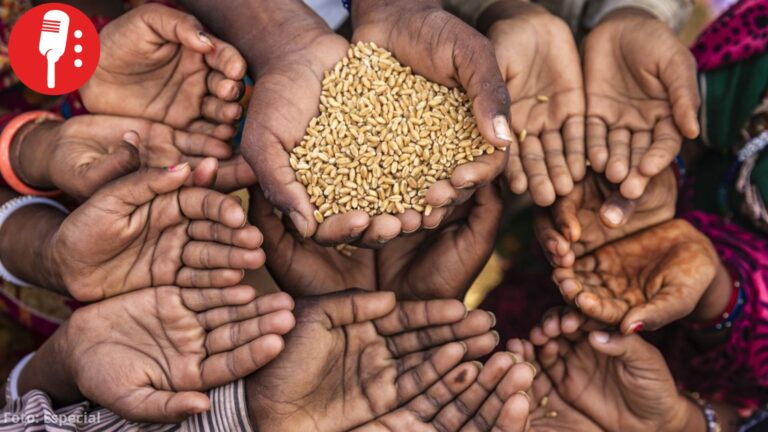 FAO alerta que el hambre mundial podría afectar a 520 millones en 2030