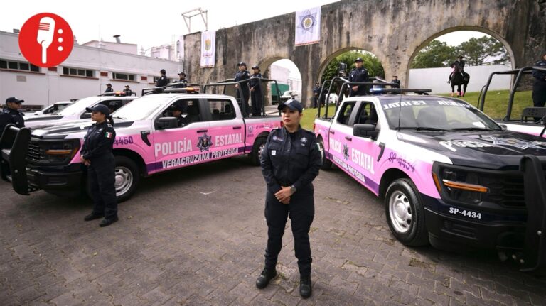 Veracruz golpea al crimen y cuida a las familias