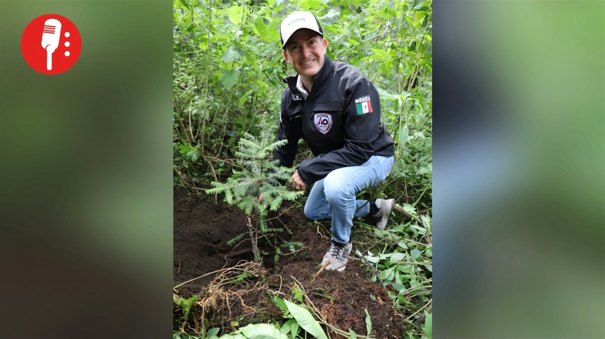 Más de mil personas reforestan Santa Rosa Xochiac