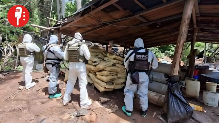 Autoridades asestan golpe millonario al crimen organizado con destrucción de narcolaboratorios