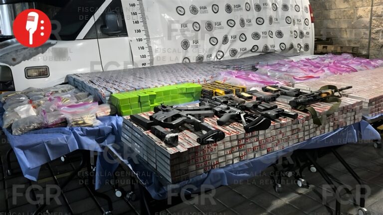 Un doble fondo bajo la paja: así ocultaban 187 mil cartuchos junto a un caballo