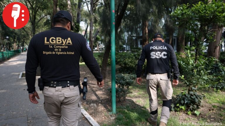 Investigan presunto envenenamiento de perros en Parque España; reportan al menos dos canes muertos