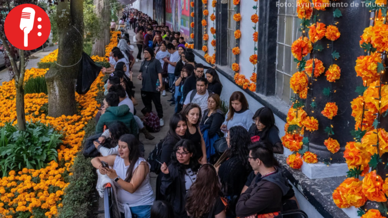 Toluca se viste de amarillo y naranja con 18 mil macetas de cempasúchil por Día de Muertos