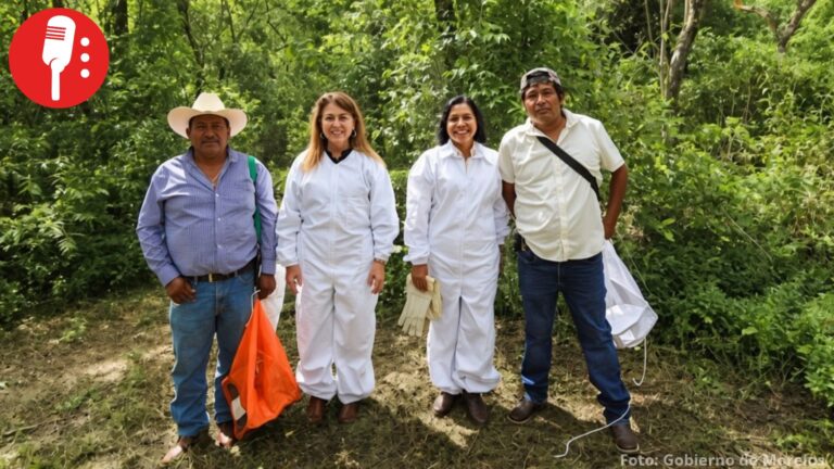 Morelos invita a consumir miel local para respaldar a familias apicultoras