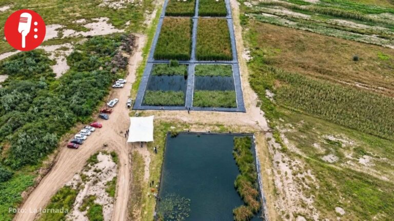 Atenco recibe humedal que saneará aguas residuales y apoyará al lago de Texcoco