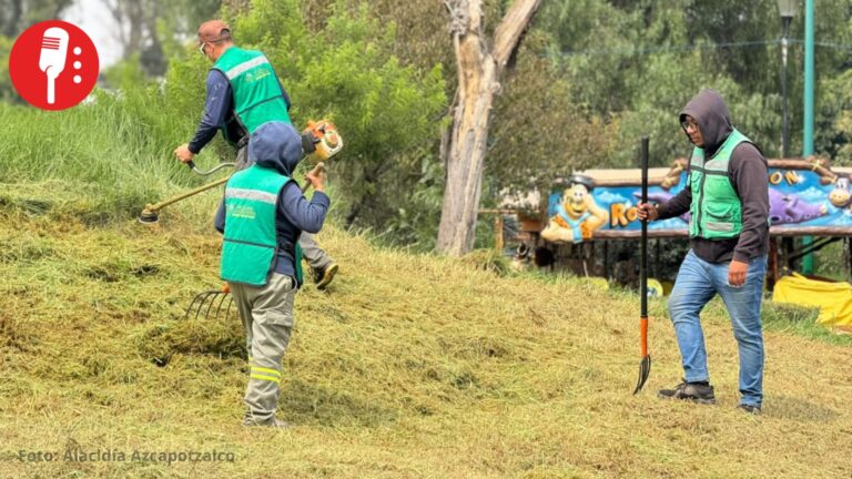 Retiran 70 toneladas de residuos de poda en el Parque Tezozómoc de Azcapotzalco