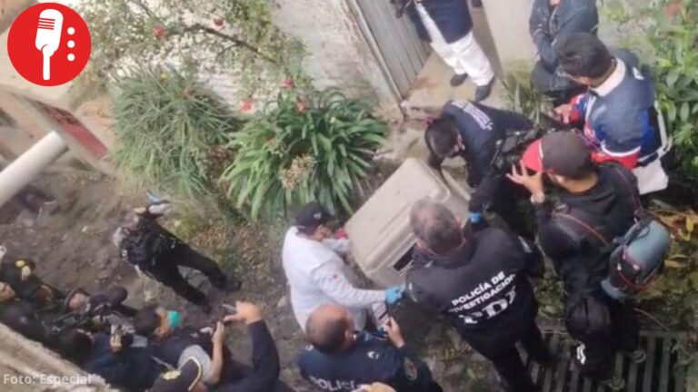 Rescatan a 26 gatos y cinco perros de un presunto criadero clandestino en Tlalpan