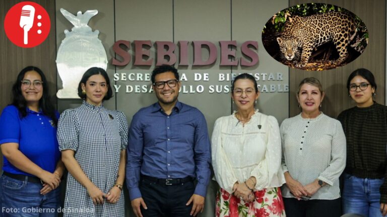 Sinaloa se une a especialistas para reforzar la protección del jaguar