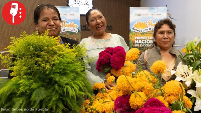 Puebla, primer lugar nacional en producción de cempasúchil