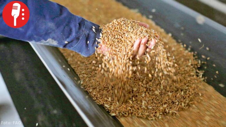 FAO alerta que los alimentos se encarecieron 5.8% en un año por guerras y clima