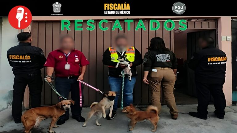 Rescatan a 39 animales en mal estado dentro de una casa en Ecatepec