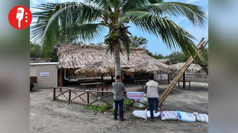 Profepa clausura obras ilegales que amenazan un manglar en Manzanillo